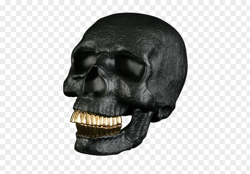 Skull Skeleton Bone Calavera Anterior Fontanelle PNG