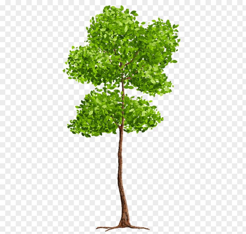 Tree Blog Clip Art PNG