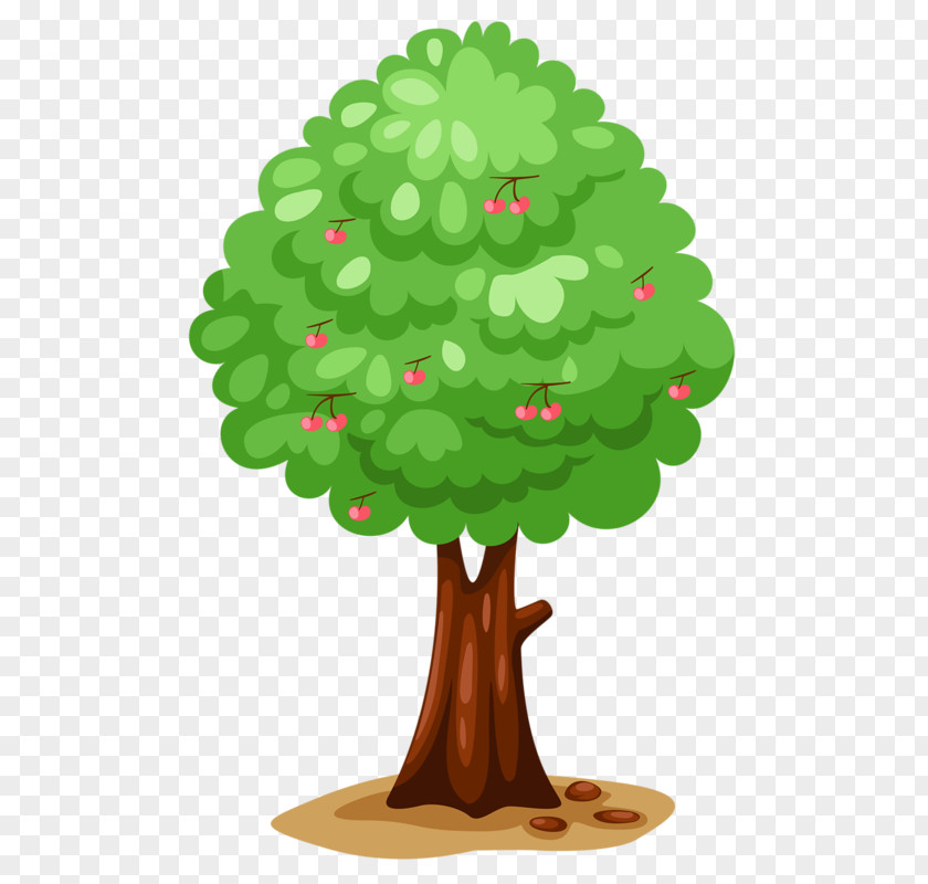 Tree Clip Art PNG