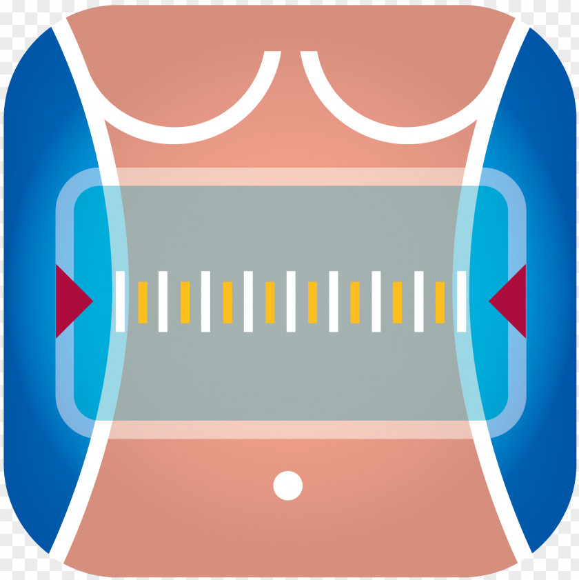 Body Composition Waist–hip Ratio Lean Mass PNG