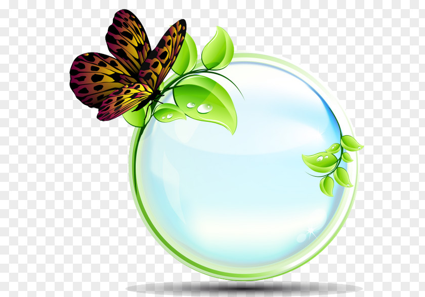 Butterfly Ecology Natural Environment Plant Clip Art PNG