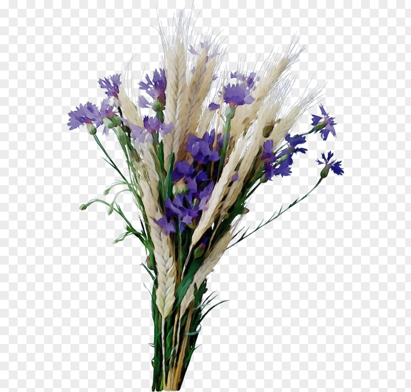 English Lavender Grass PNG