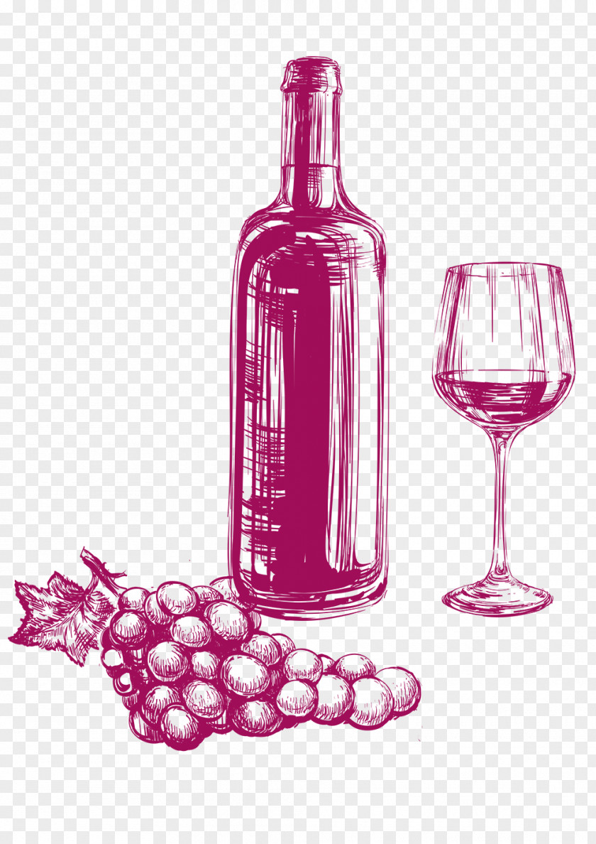 Wine Drawing Beer Grape PNG