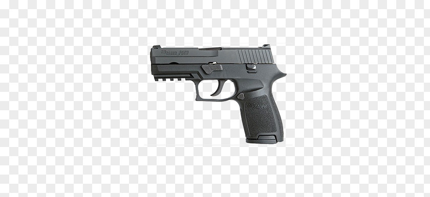 .380 ACP SIG Sauer P230 P250 .45 P320 PNG