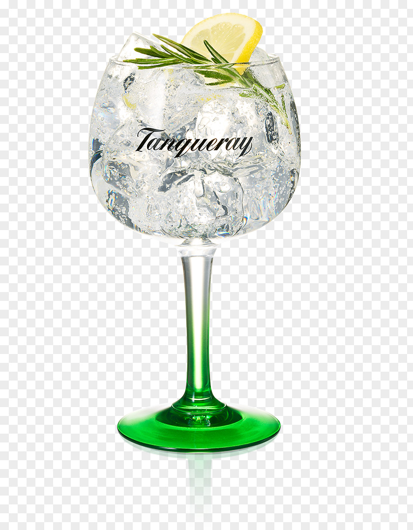 Cocktail Gin And Tonic Tanqueray Water PNG