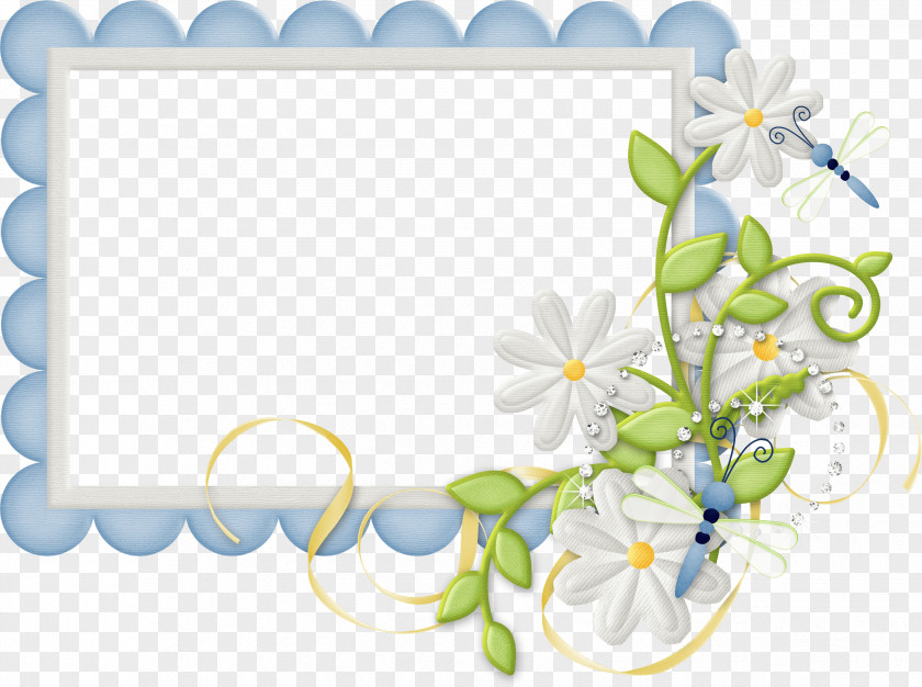 Cute Frame Picture Frames Decorative Arts PNG