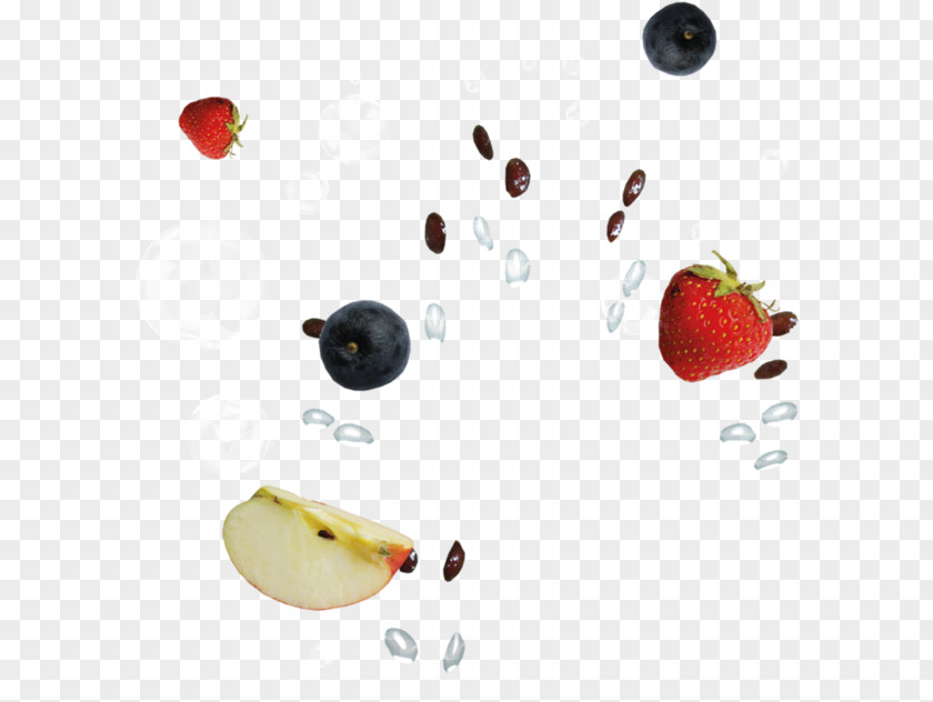 Fruits Splsh Fruit Citrus Blog Email PNG