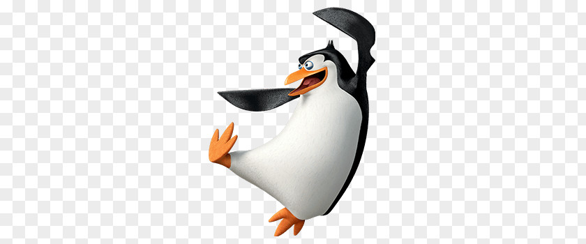 Madagascar Penguins PNG penguins clipart PNG