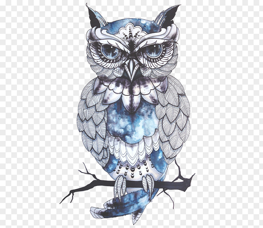 Owl Baby Owls Sleeve Tattoo Drawing PNG
