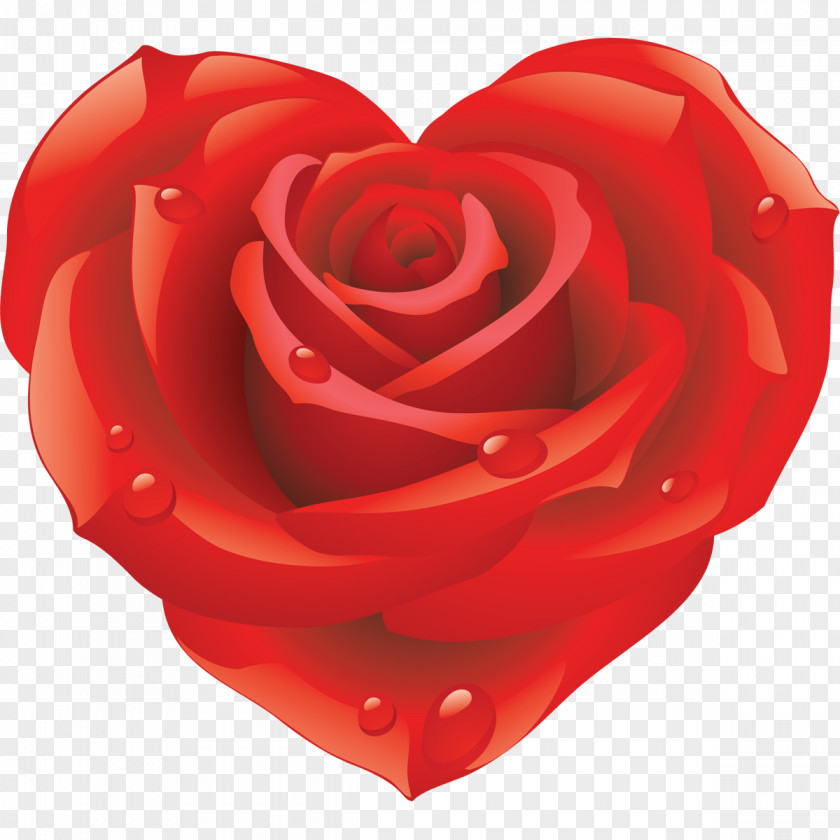 Pink Heart Rose Desktop Wallpaper Clip Art PNG