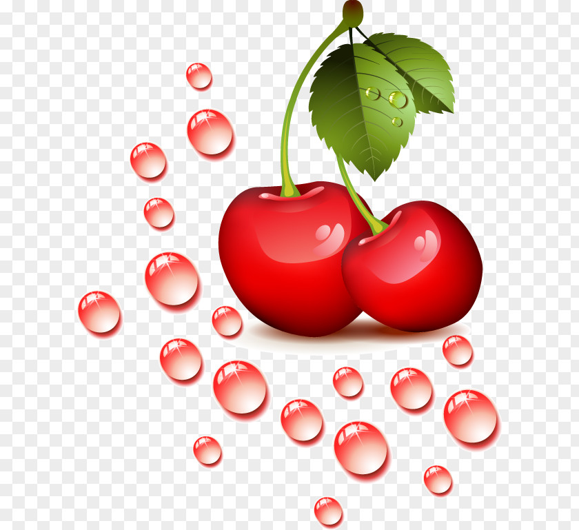 Small Red Cherry Clip Art PNG