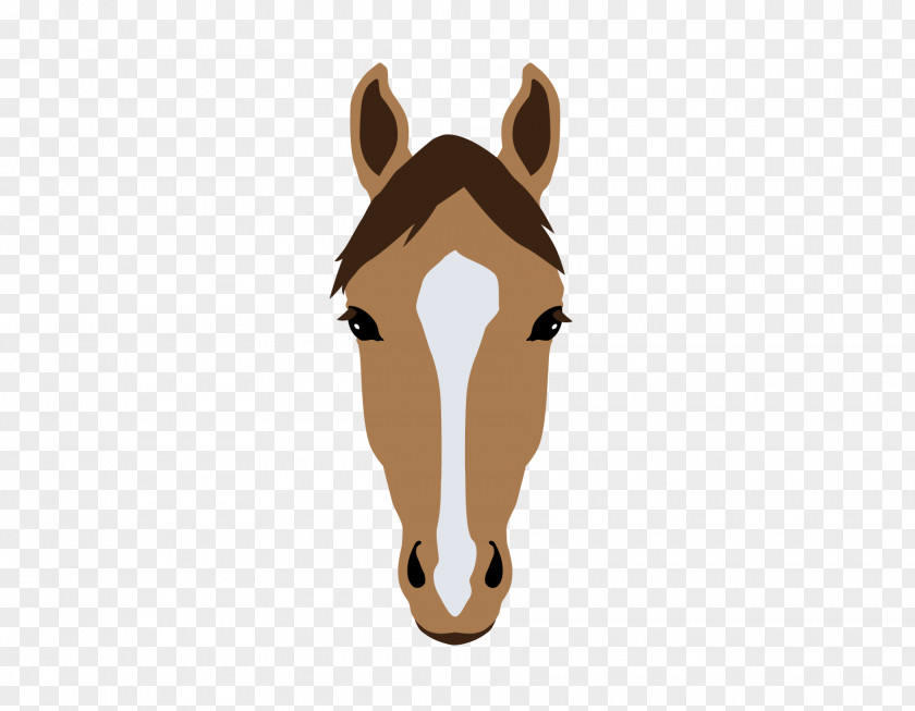 Strip Pony Mustang Horse Markings Mane Equestrian PNG