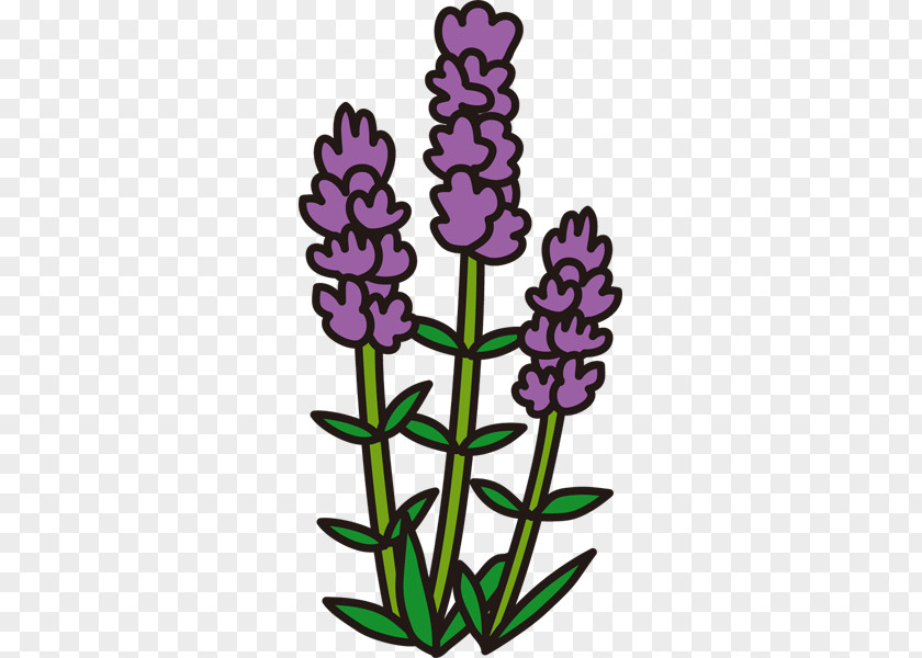 Summer Word English Lavender Microsoft PowerPoint Clip Art PNG