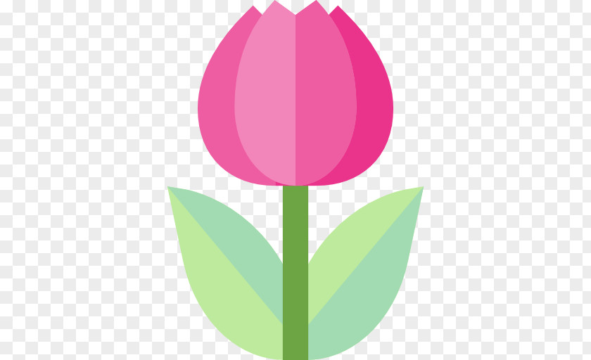 Tulip Flower Clip Art PNG