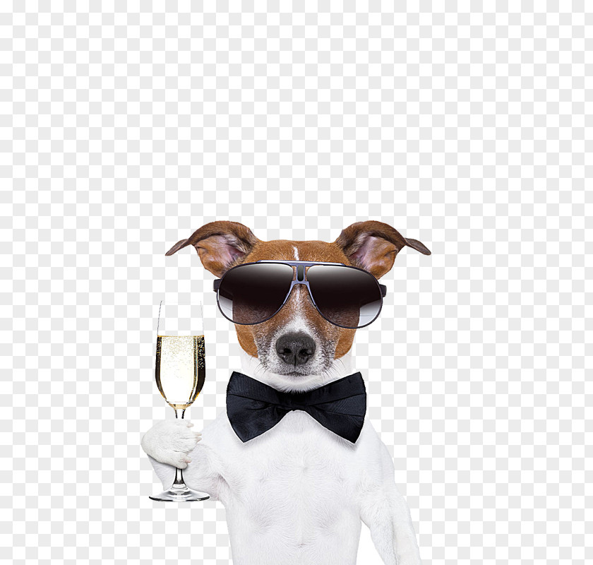 White Male Dogs Toast French Bulldog Pug Cocktail Martini Puppy PNG