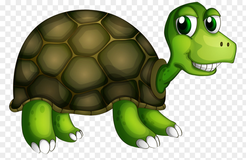 Smiling Little Turtle Royalty-free Illustration PNG