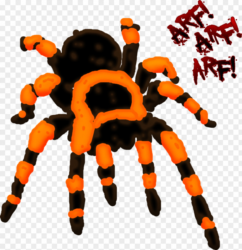 Spider Tarantula Insect Stuffed Animals & Cuddly Toys PNG