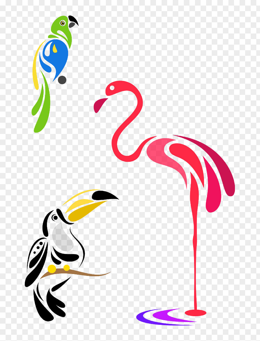 Avianca Ornament Bird Parrot Phoenicopterus Vector Graphics Stock Photography PNG