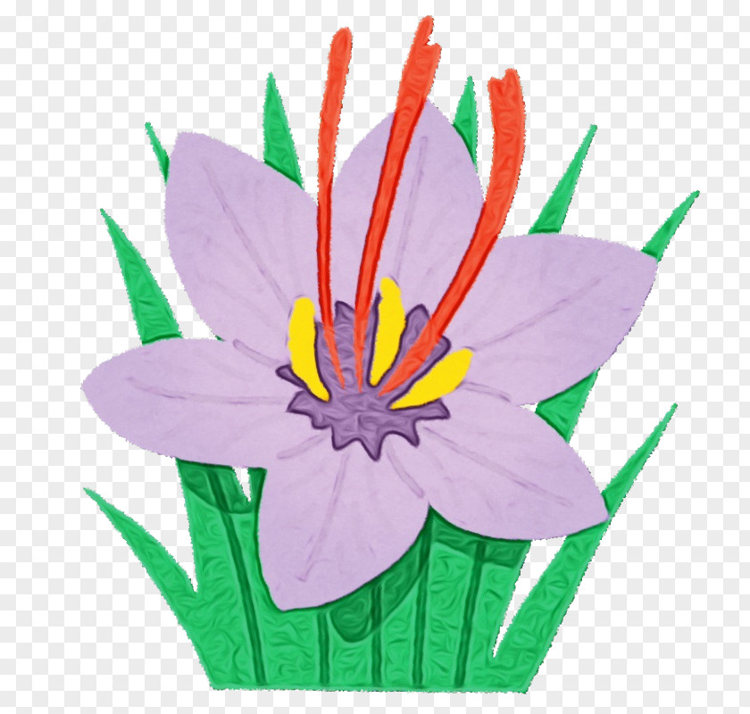Crocus Wildflower Flower Petal Plant Clip Art Flowering PNG