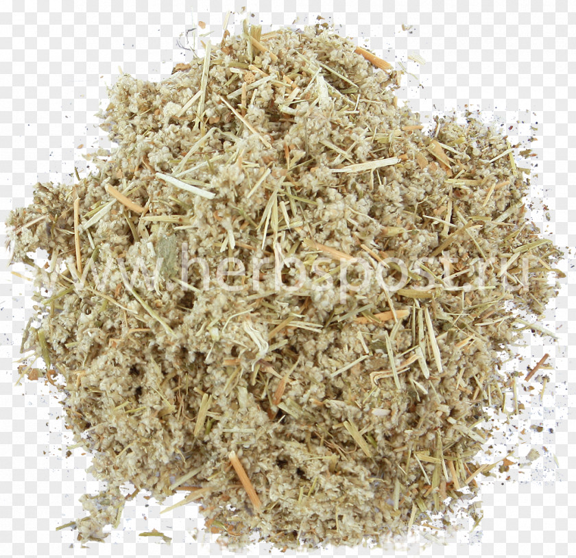 Pola Straw Mycelium Soil Sawdust Sassafras PNG