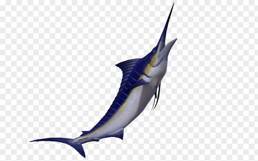 3d Animals Marine Creative Swordfish Marlin 3D Computer Graphics PNG
