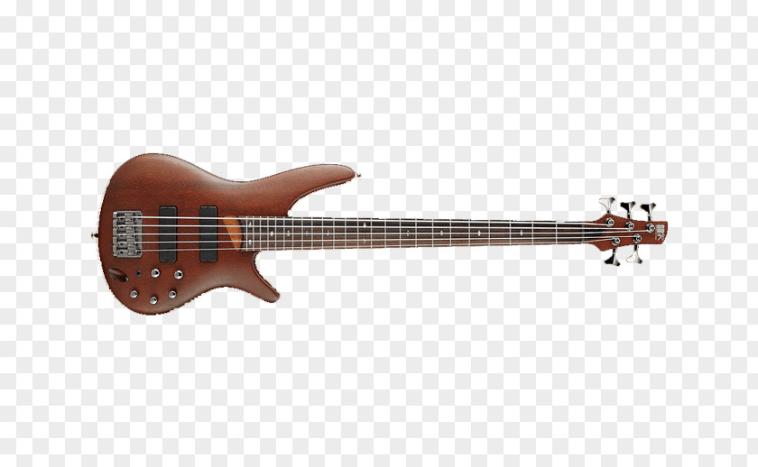Bass Guitar 5 String Instruments Ibanez Double PNG