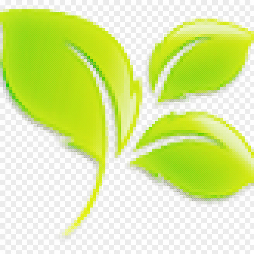 Plant M Butterfly Green Leaf Background PNG