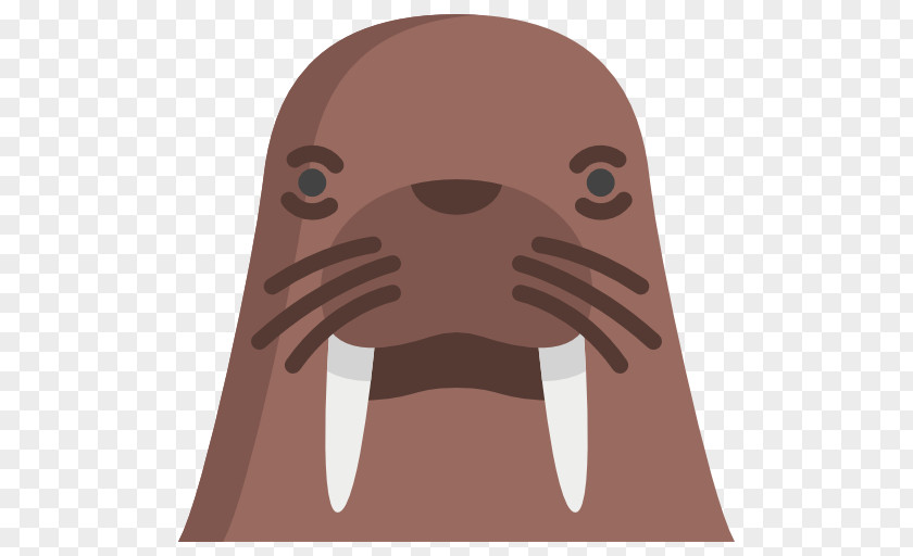 Walrus PNG