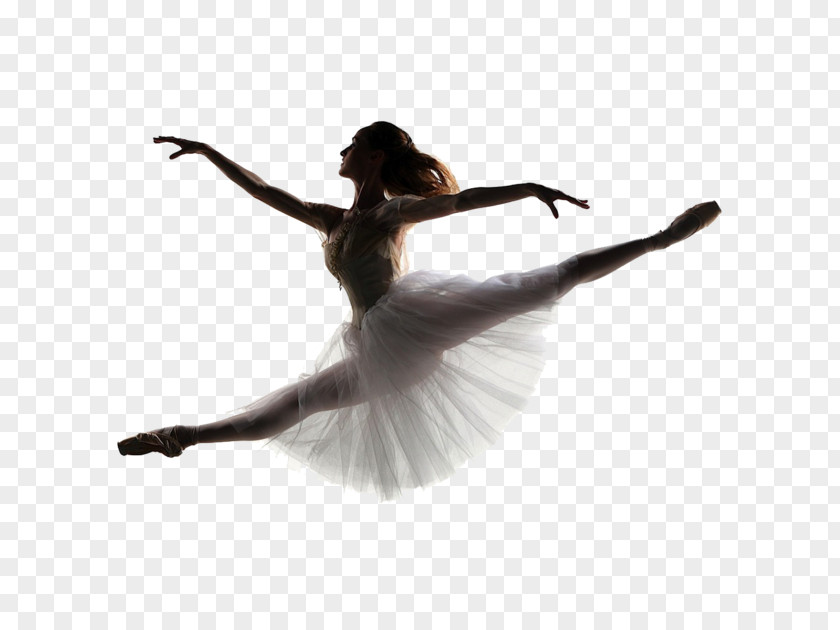 Ballet Shoe Dancer Stock Photography PNG