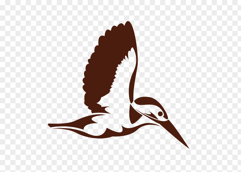 Dayan,animal,fly Hummingbird Kingfisher Clip Art PNG