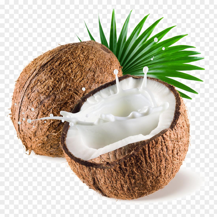Fresh Coconut Milk Powder Water PNG
