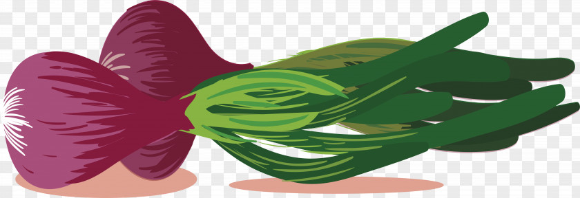Hand Painted Onion Vegetable Condiment Computer File PNG