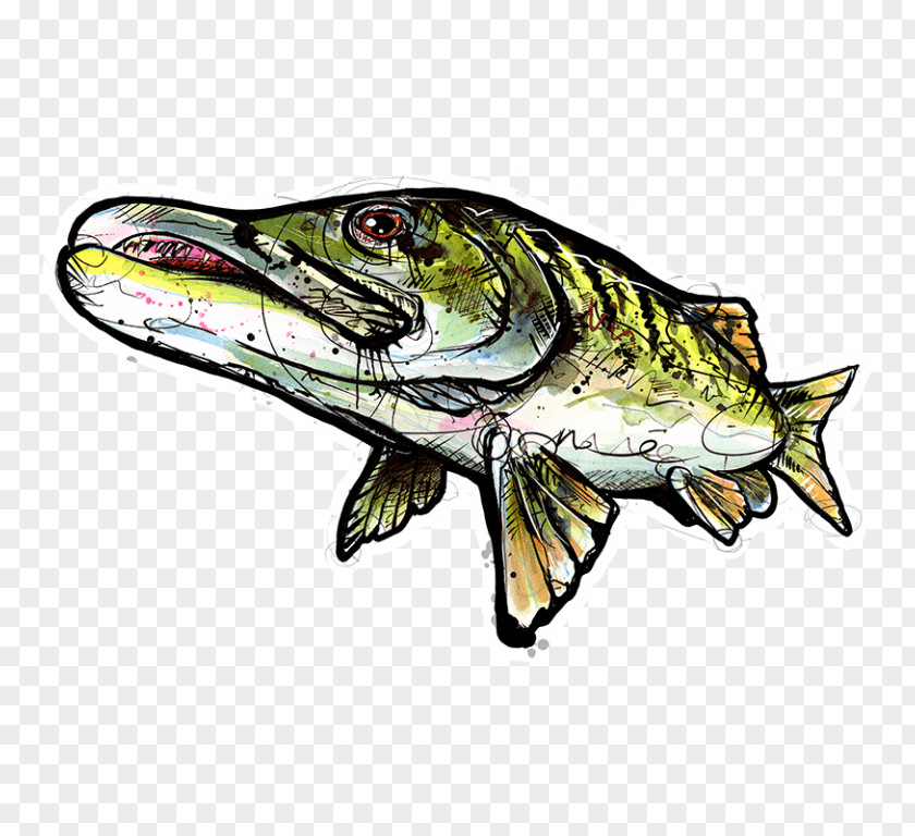 Musky Frame Sticker Decal, Muskie Fishing Localwaters PNG