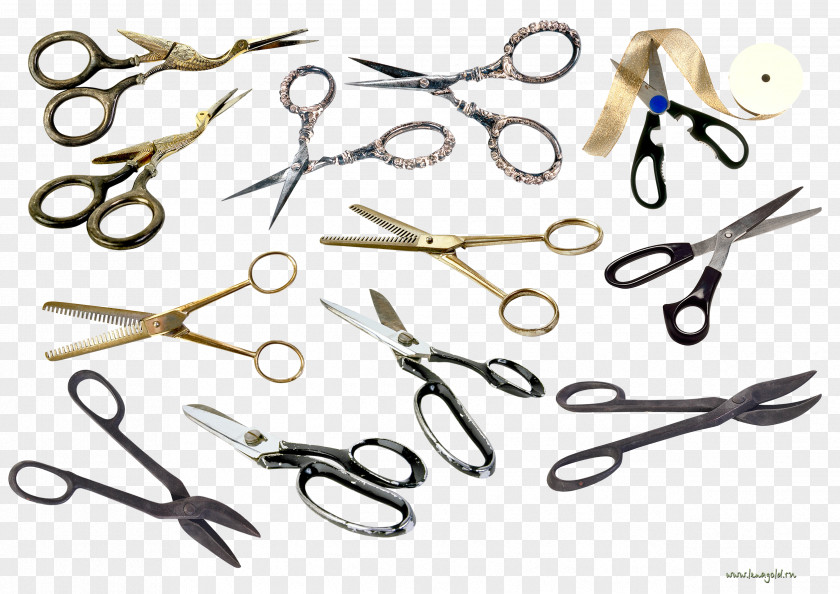 Scissors Cosmetologist Bird Clip Art PNG