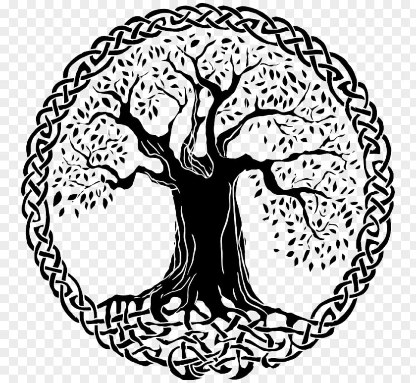 Tree Celtic Sacred Trees Of Life Art Celts PNG