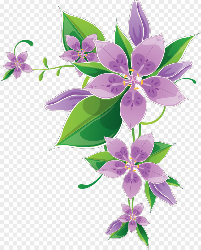 Venkateswara Border Flowers Drawing Clip Art PNG