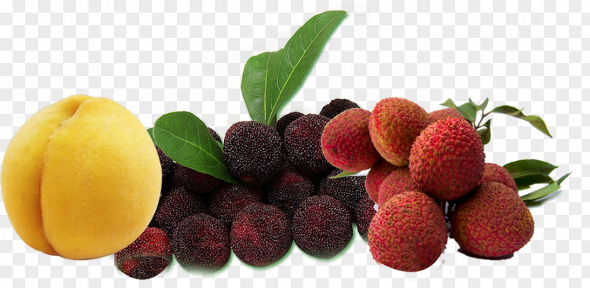 Yangmei Peach Litchi District Juice Fruit Morella Rubra PNG