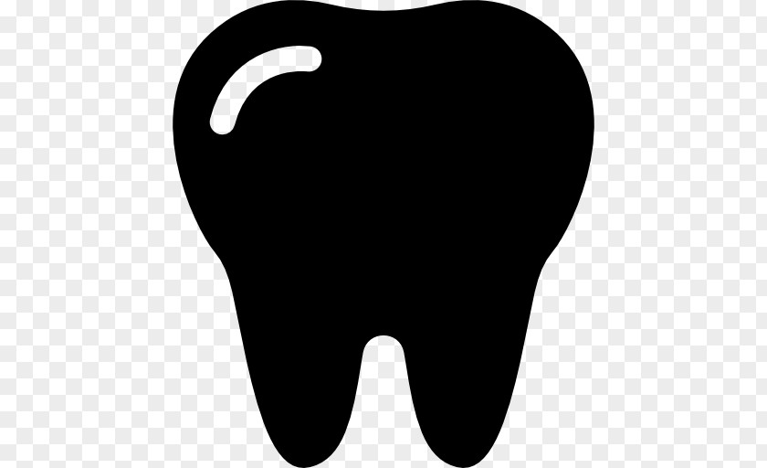 Human Tooth Dentin Hypersensitivity Angelet De Les Dents PNG