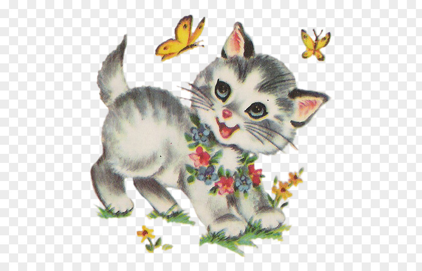 Kitten Tabby Cat Whiskers Sass & Belle PNG