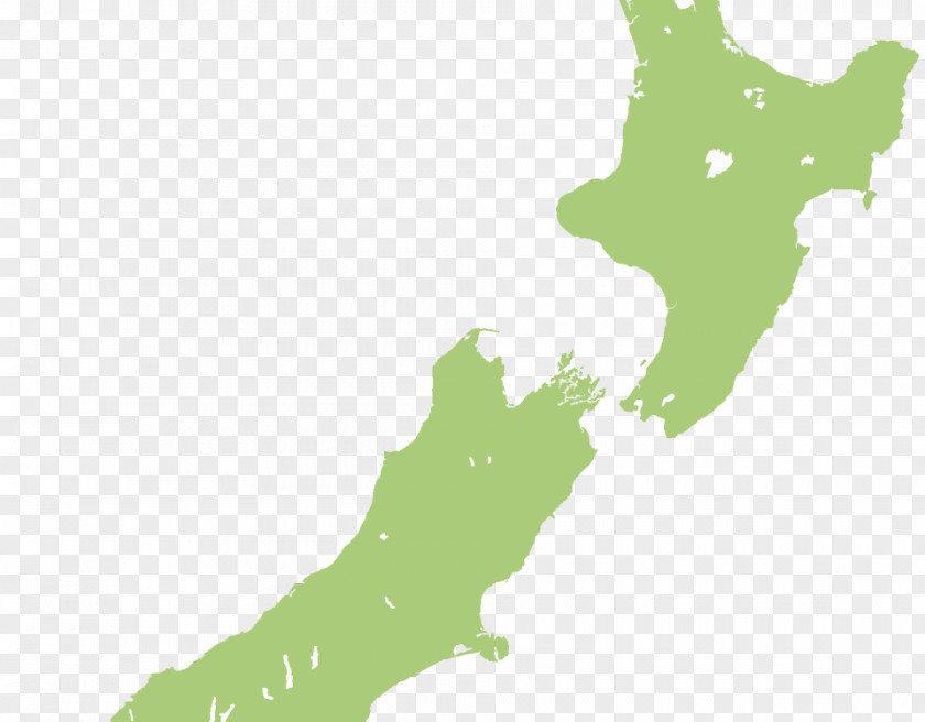 New Game Plus Lower Hutt South Island Road Map Vector PNG