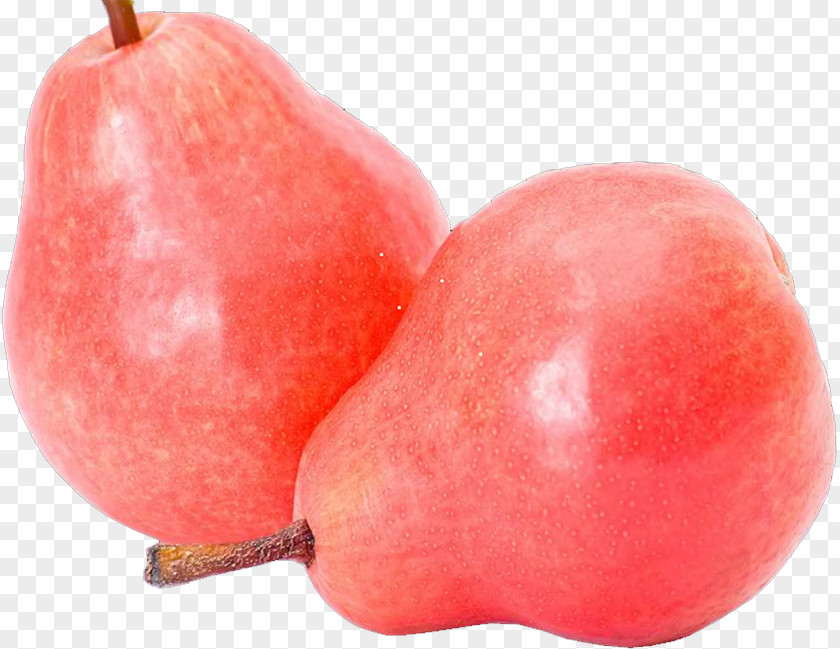 Pear Pyrus Xd7 Bretschneideri Apple Fruit PNG