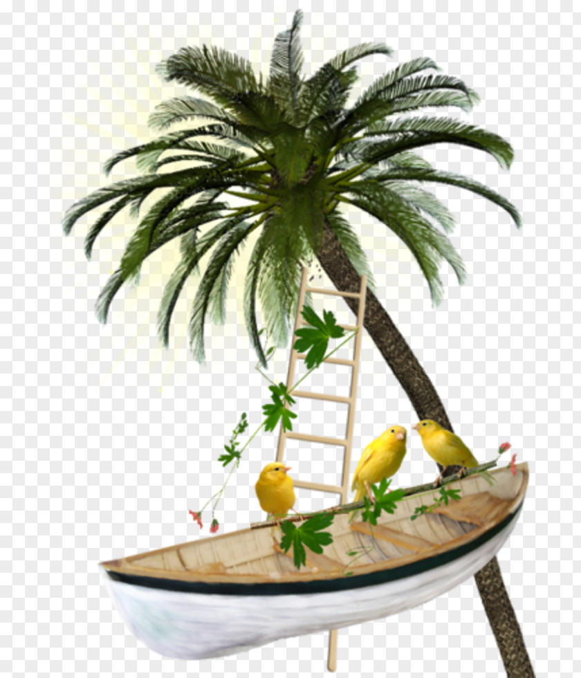 Pirate Boat Clip Art Image Adobe Photoshop Sharm El Sheikh PNG