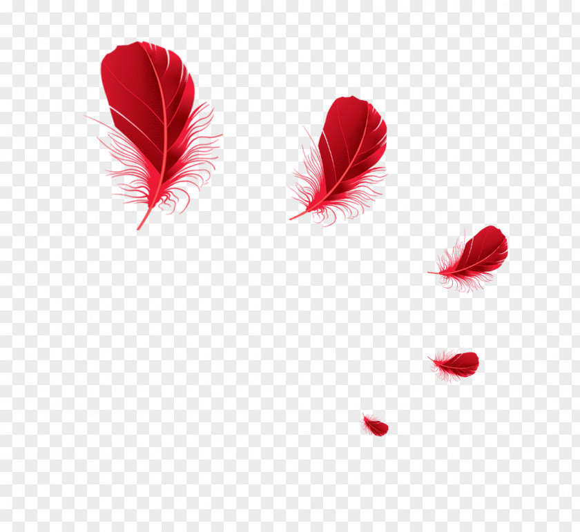 Red Feather Floating Material The Euclidean Vector PNG