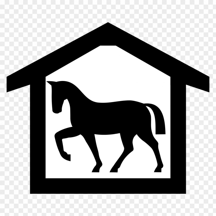 The Horse Exempts Riding Pony Equestrian Clip Art PNG