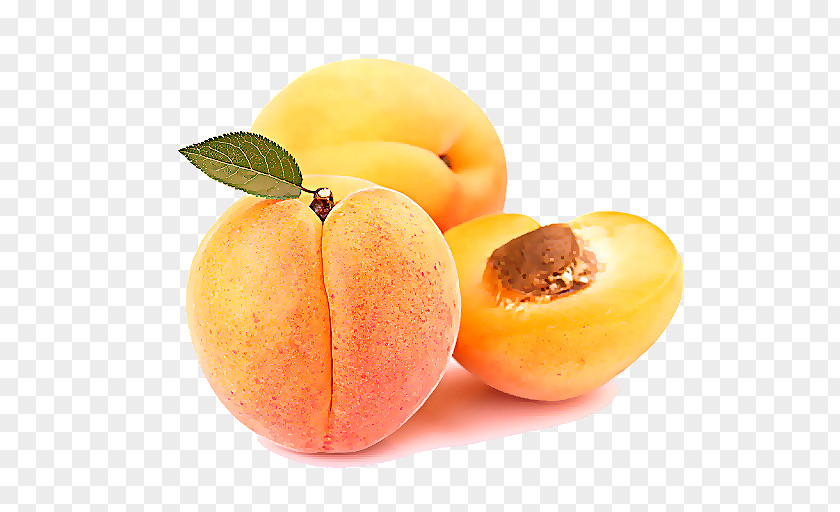 Yellow Plum Plant European Peach Fruit Food Apricot PNG