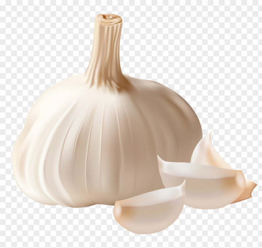 Garlic Clipart Picture Bread Clip Art PNG