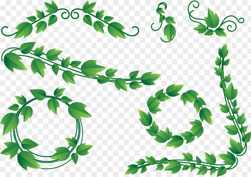Leaf Frame Vine Ivy Clip Art PNG