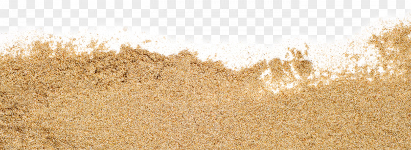 Sand Picture Reading Straw Grasses Cereal PNG