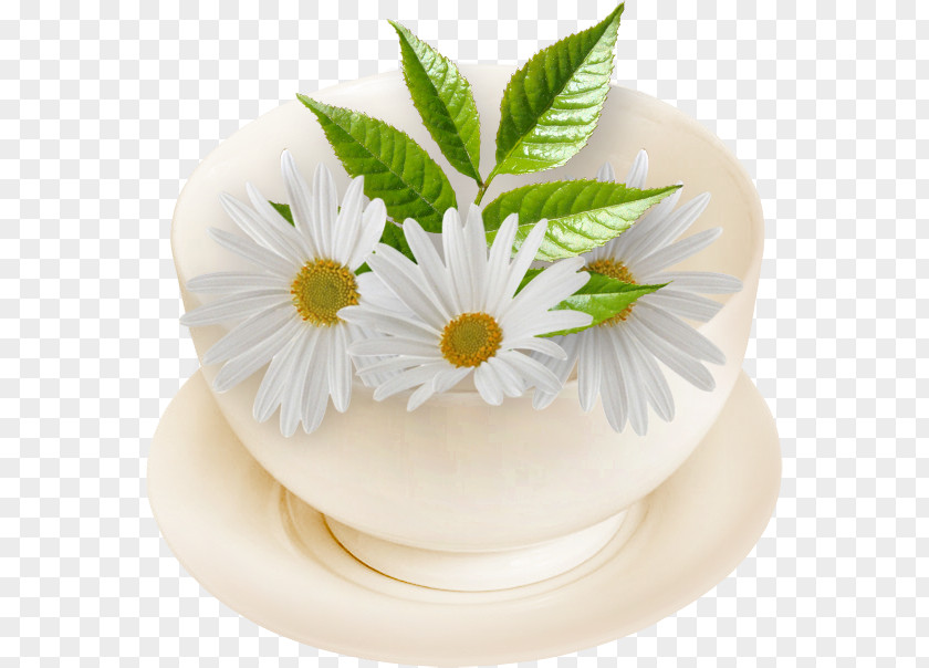Tazas Romashkovoye Greeting Afternoon КМЗ К-1В Cake Decorating PNG