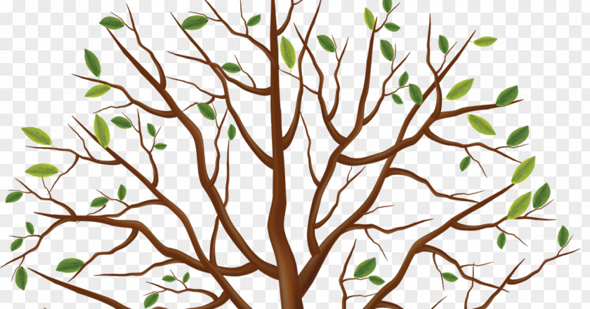 Tree Trunk Clip Art PNG